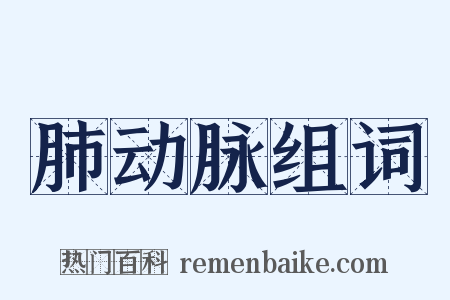 肺动脉组词是什么意思的图片